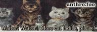 artist:furanon meta:anthrofoo meta:asset meta:banner meta:edit // 300x100 // 25KB