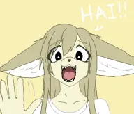 artist:anon character:fennec-chan meta:4chan // 700x600 // 30KB